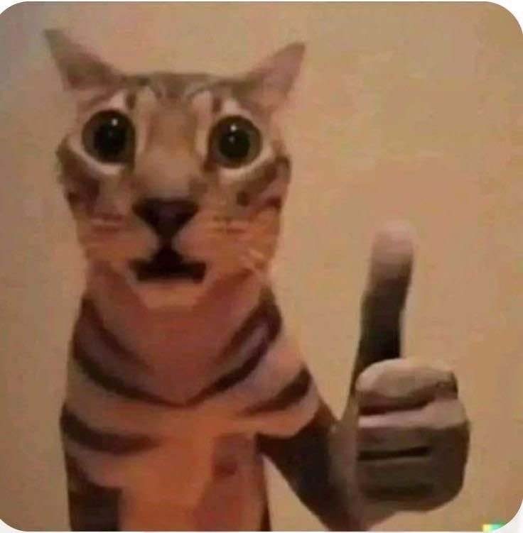 A realistic cat with a voidless expression of startled horror gives a human thumbs up